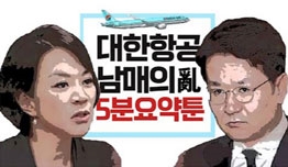 [영상] 대한항공 한진家 '남매의 난'...조원태 재선임 돼도 끝나지 않는 이유(썸오리지널스)