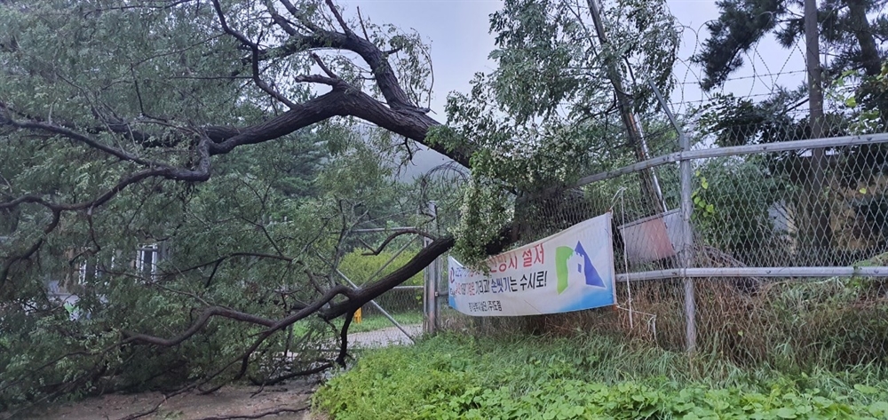 뽑히고 무너지고…태풍 '바비'가 남긴 상흔