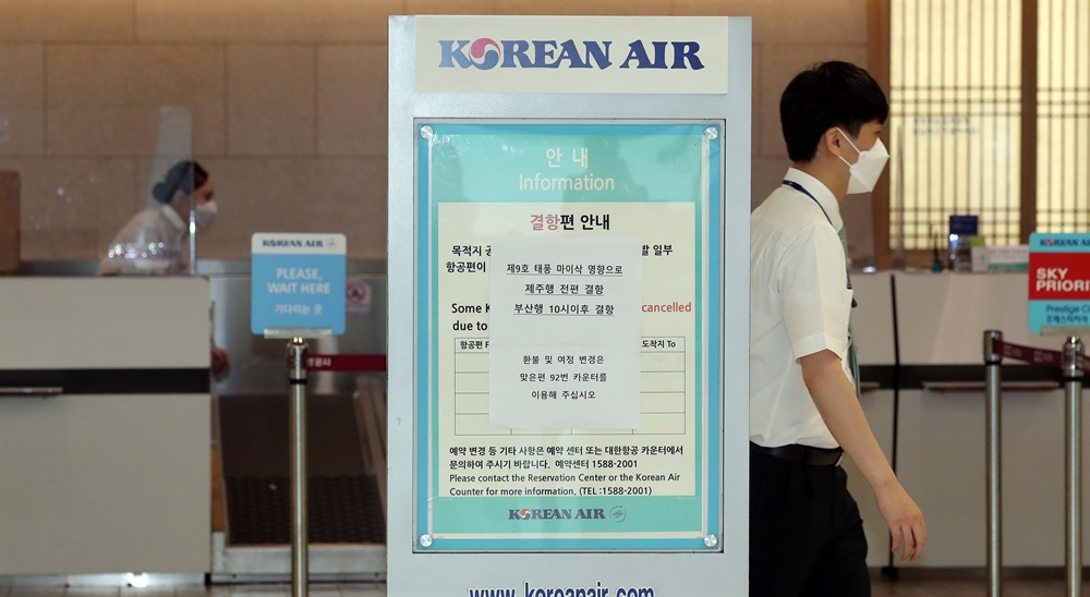 '마이삭이 온다' 항공기 줄줄이 결항