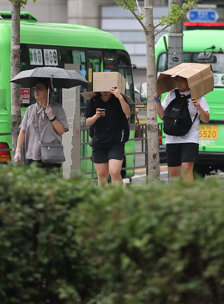 시원한 소나기