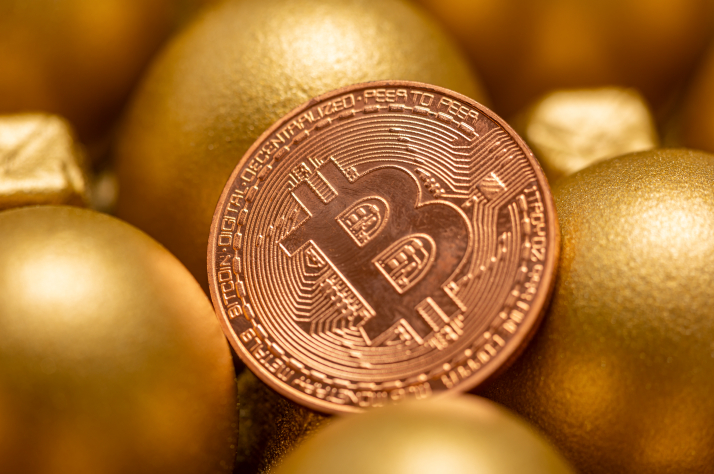 금 제친 비트코인 ETF…기관, 9조 몰아 담았다